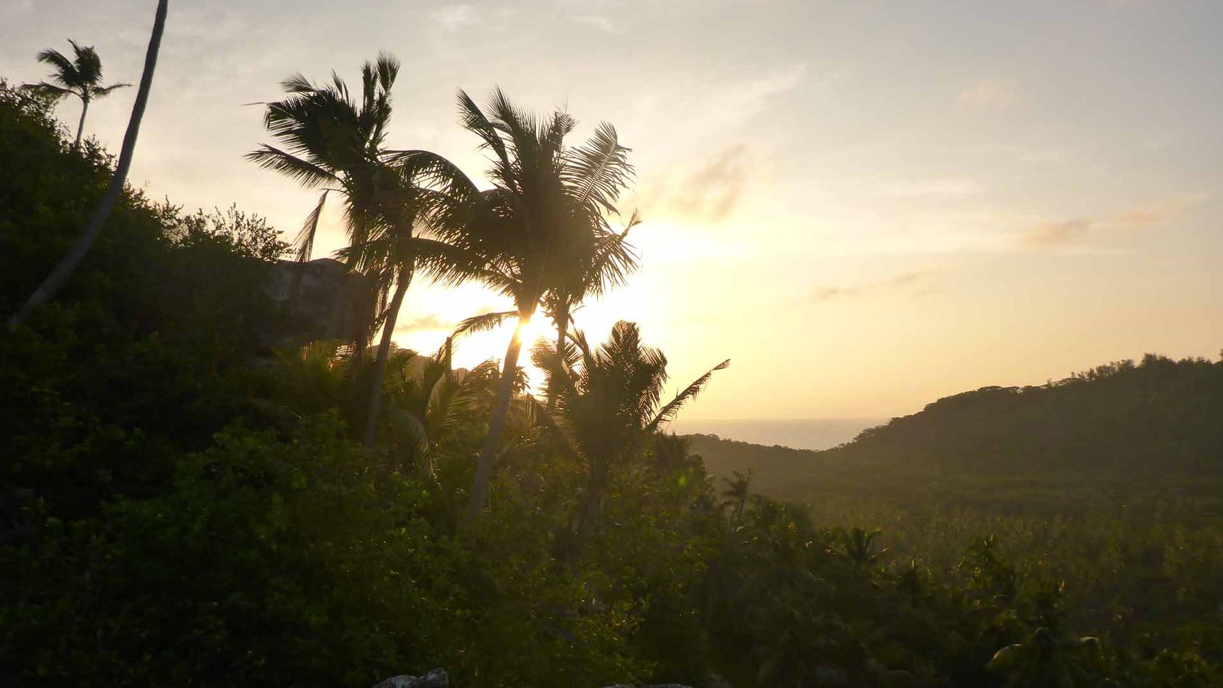 freiwilligenarbeit-seychellen-erfahrungsbericht-artenschutz-kundenfotos-landschaft-natucate