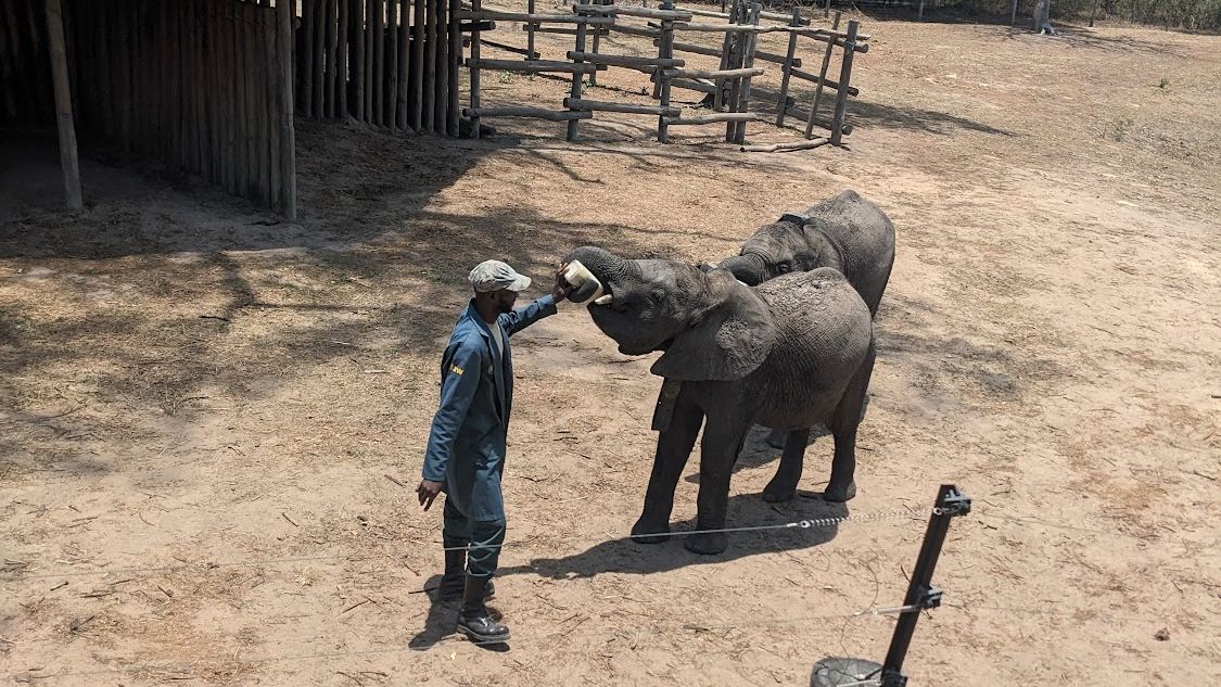 natucate-blog-review-sambia-klara-sanctuary