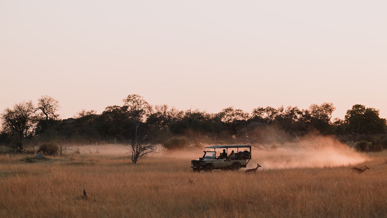 natucate-blog-pr-trip-alice-game-drive