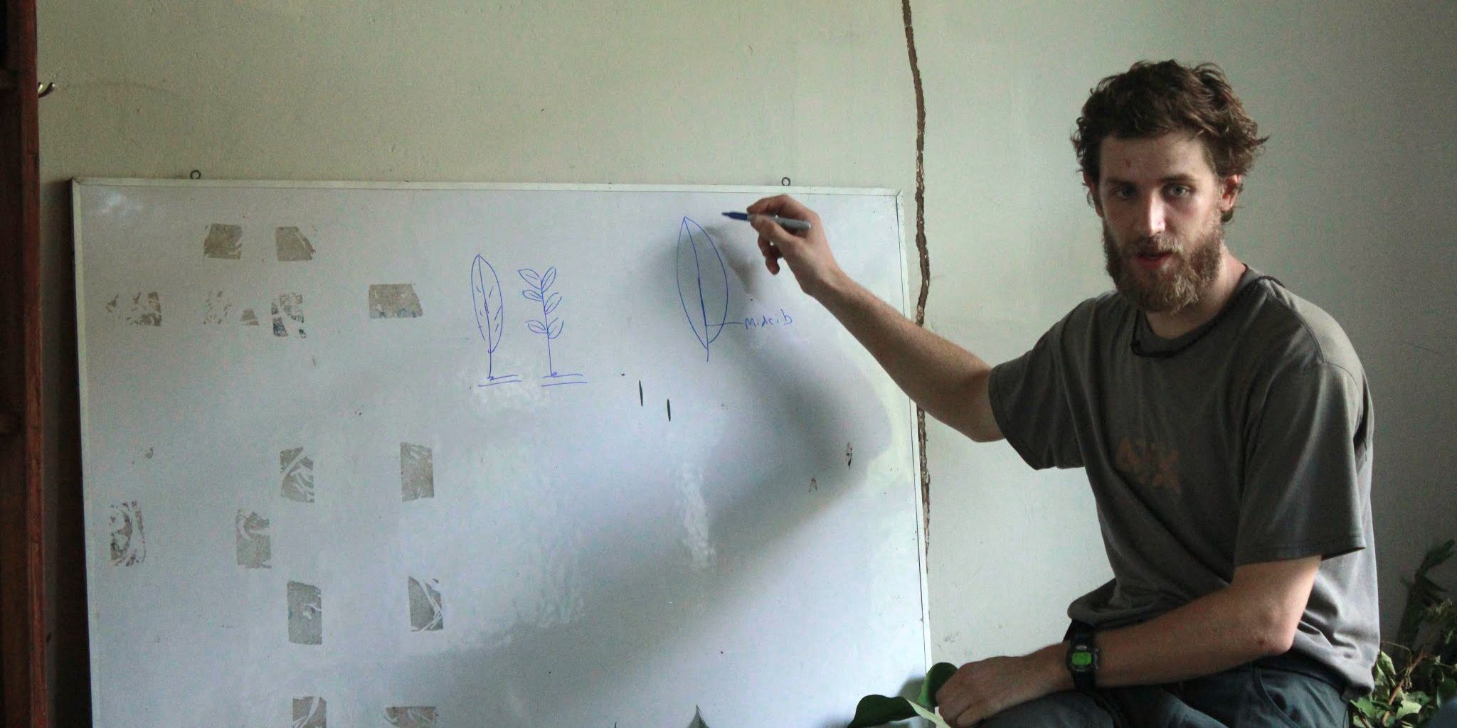 Die verschiedenen Eigenschaften von Blaettern und ihre Strukturen werden von einem Guide erklaert