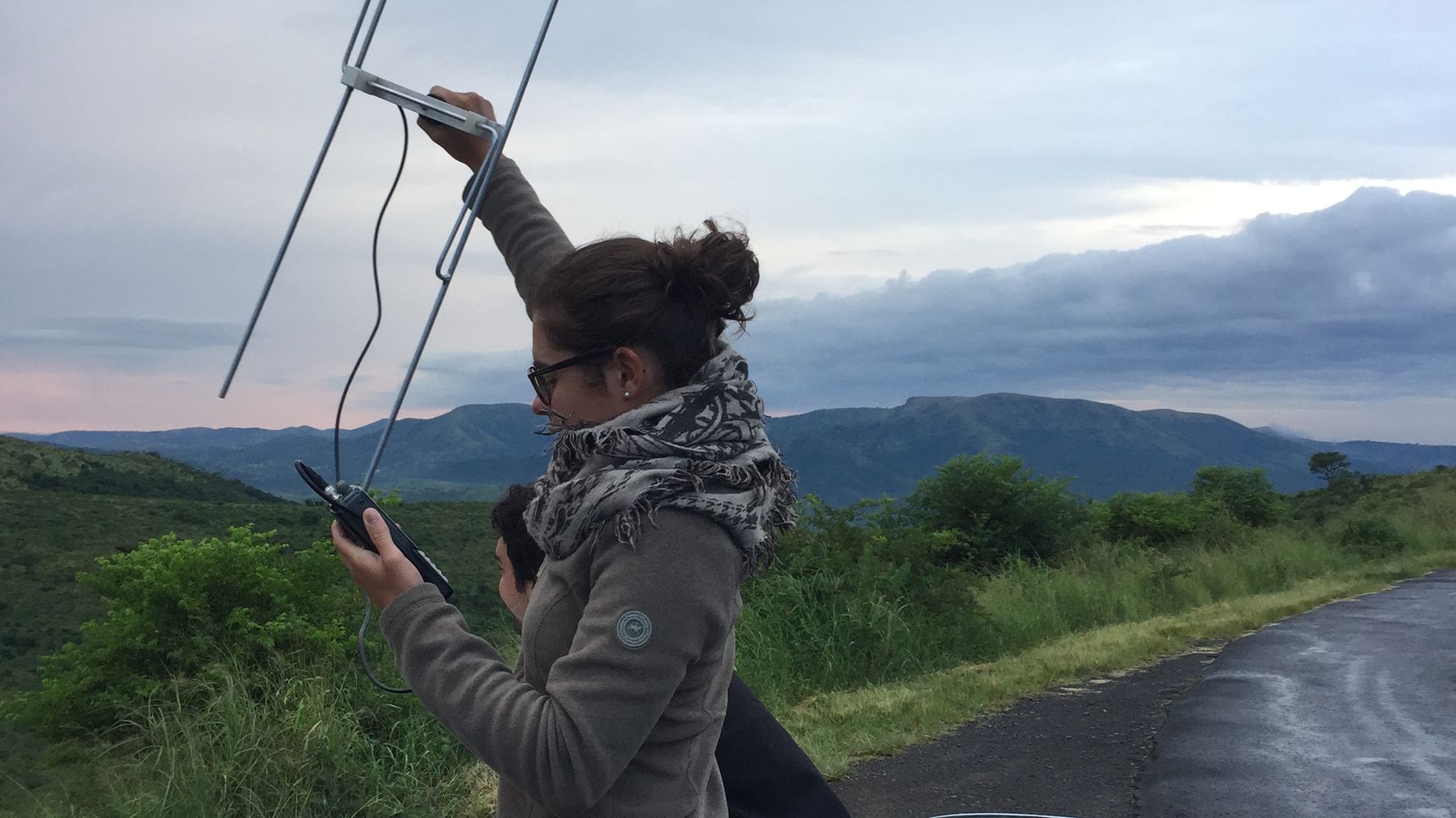 artenschutz-antenne-telemetrie-und-ueberwachung-von-wildtieren-blog-natucate