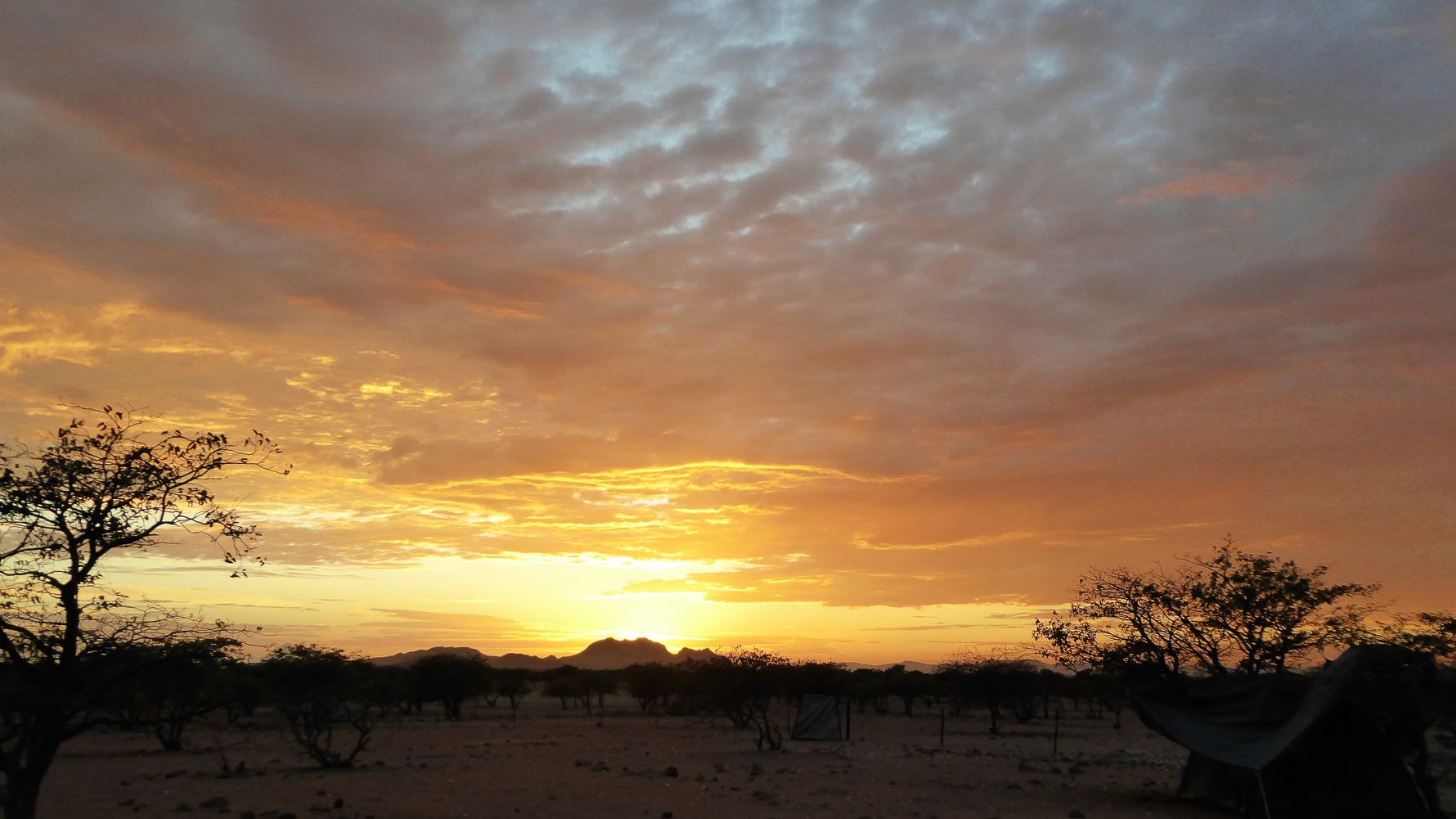 erfahrungsberichte-freiwilligenarbeit-namibia-elefanten-yvonnesonnenuntergang-natucate