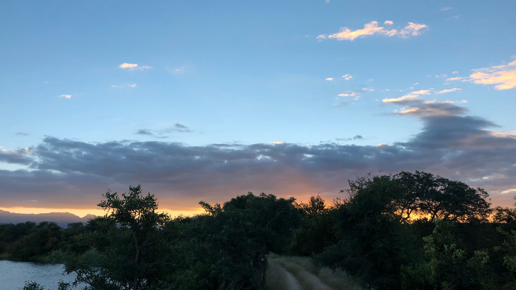erfahrungsberichte-rangerkurse-suedafrika-field-guide-level-1-simon-wolken-sonne-natucate