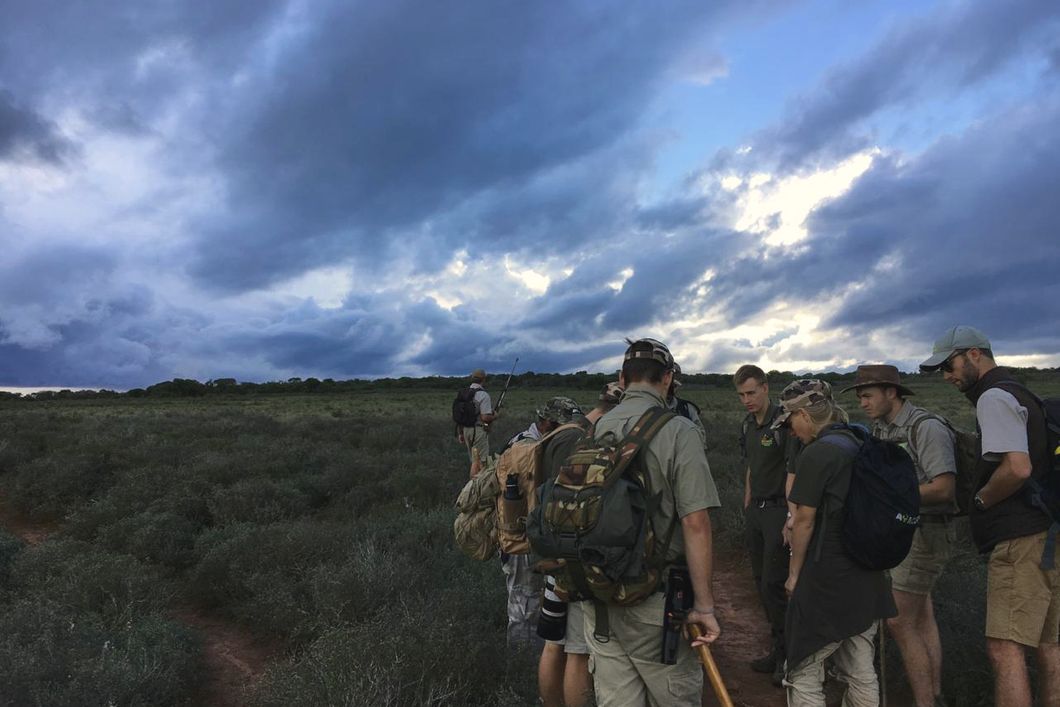 Eine Gruppe von Trails Guide-Studenten steht im suedafrikanischen Amakhala Game Reserve und beaeugt eine soeben entdeckte Tierspur
