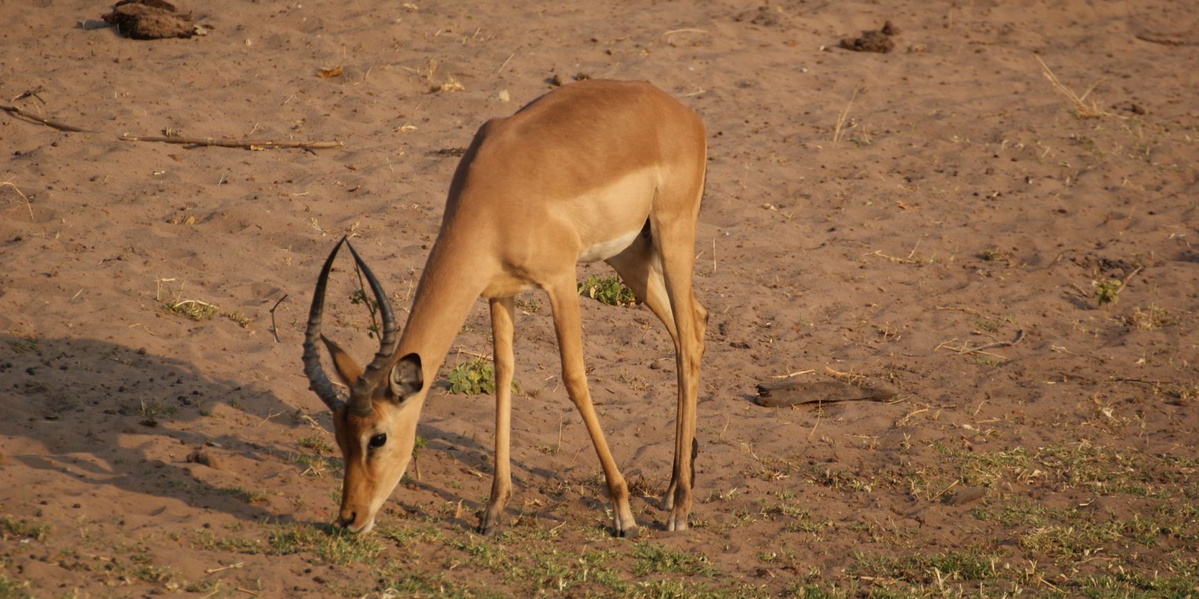 praktikum-botswana-projektbesuch-natucate