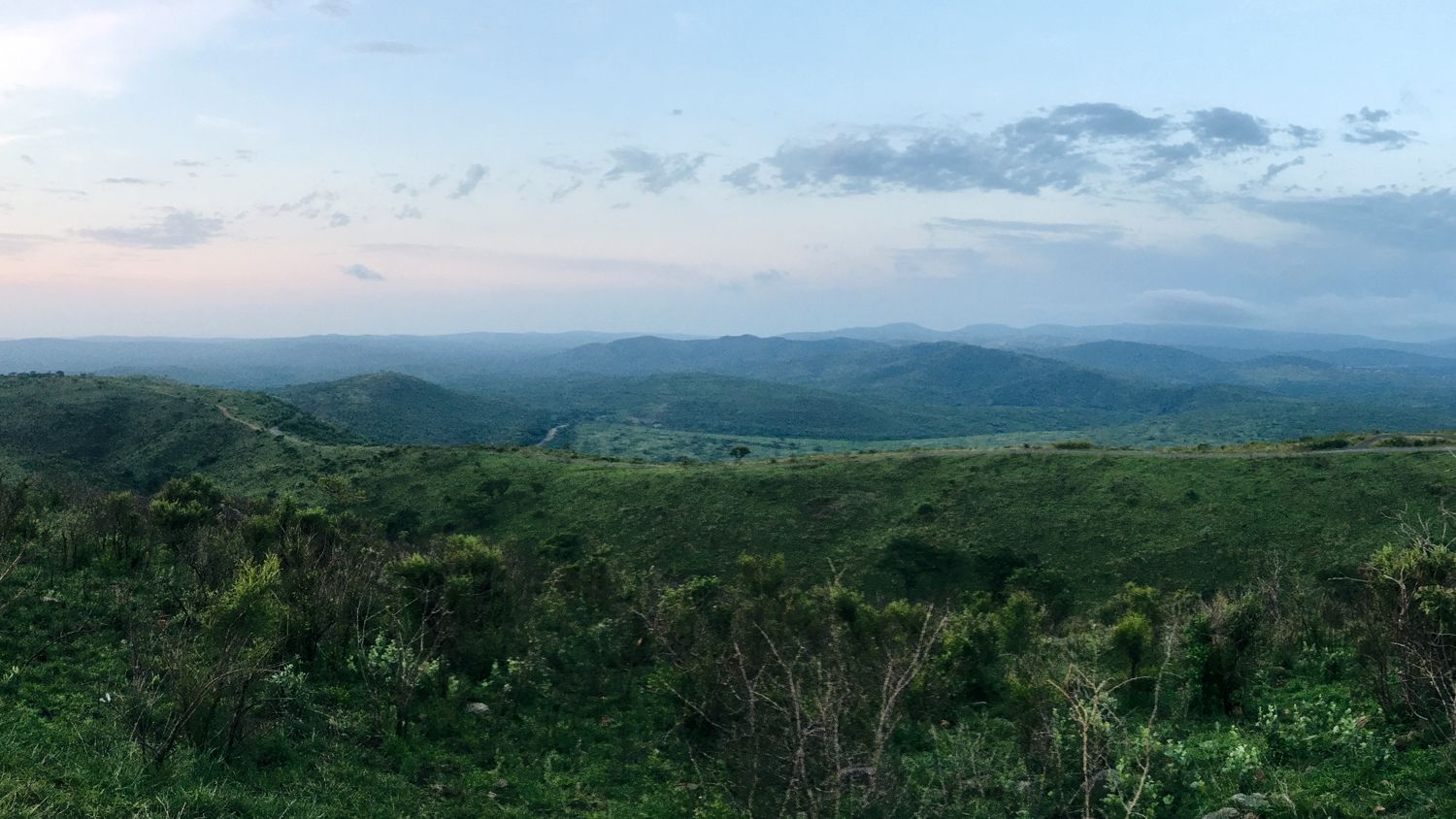 erfahrungsbericht-freiwilligenarbeit-suedafrika-zululand-artnschutz-melanie-game-reserve-natucate