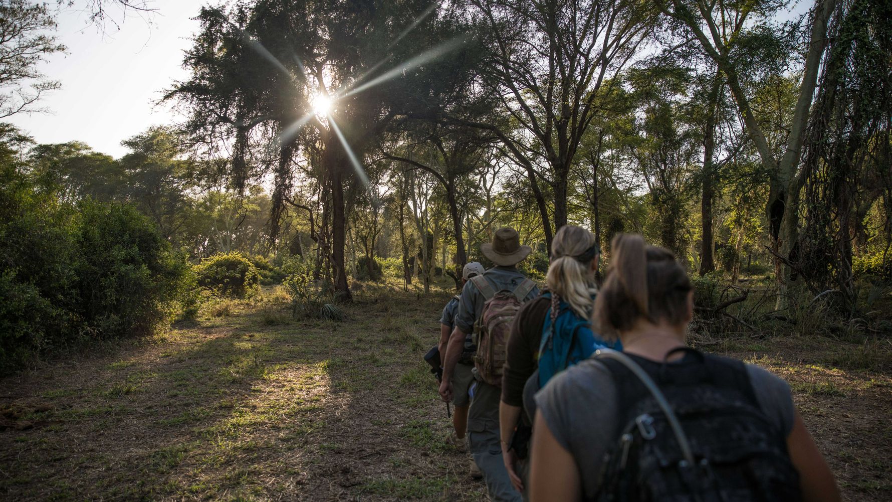 landingpage-naturreise-afrika-bushwalk-natucate