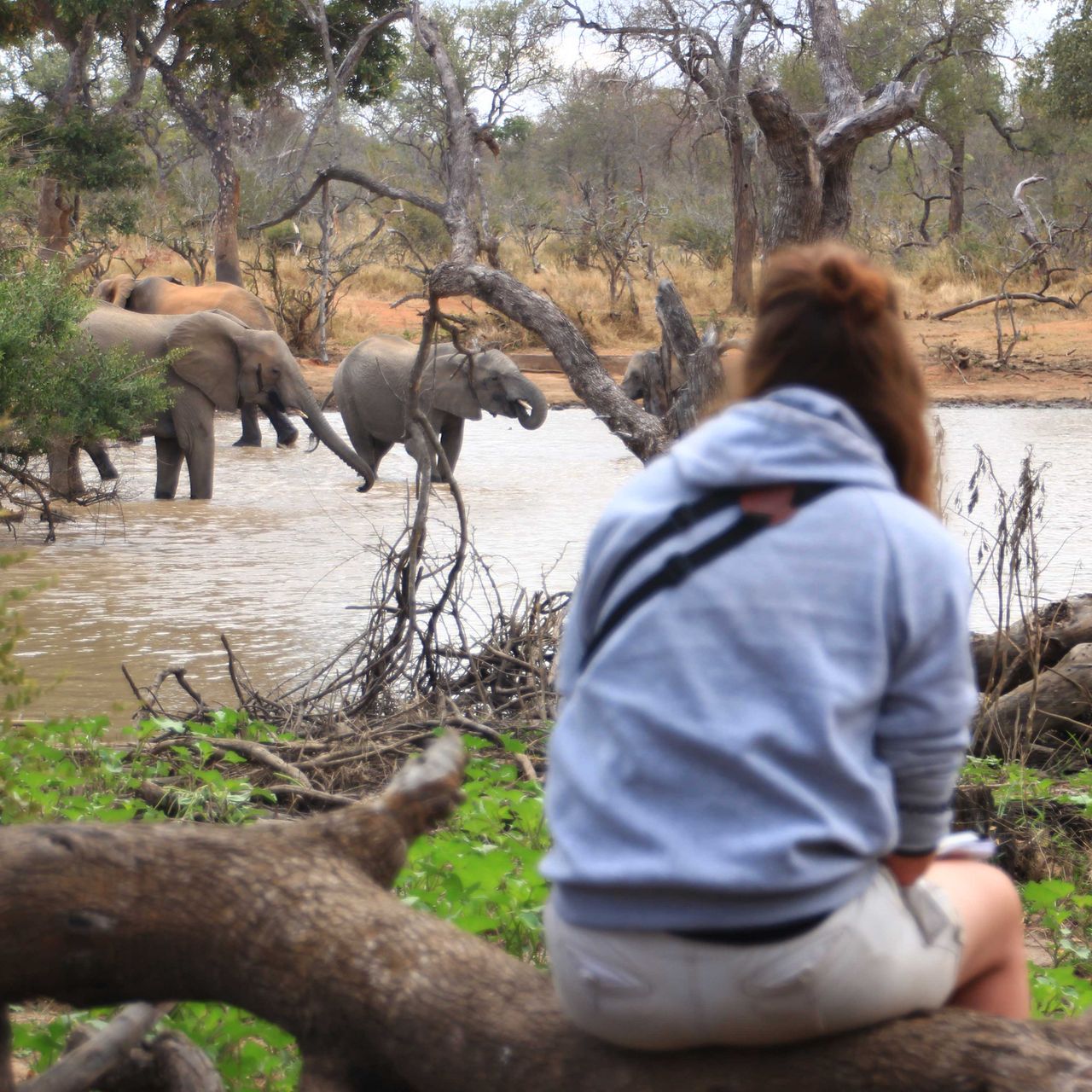 erfahrungsberichte-rangerkurs-field-guide-level-1-afrika-lea-pridelands-natucate