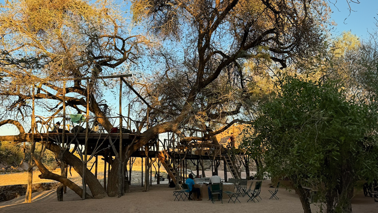 Viewing platform in the bush