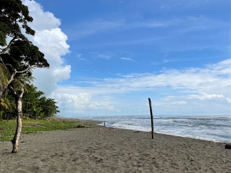 Zu sehen ist ein Strandabschnitt von Lateinamerika angrenzend an den Regenwald, mit einem leicht bewölkten Himmel
