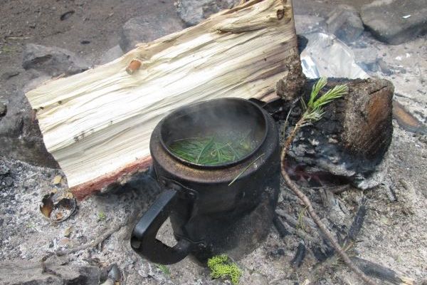 natur-und-rangerkurse-kanada-nordamerika-bushcraft-survival-essen-natucate