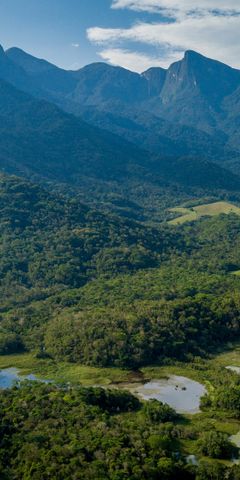 freiwilligenarbeit-brasilien-waldschutz-natucate
