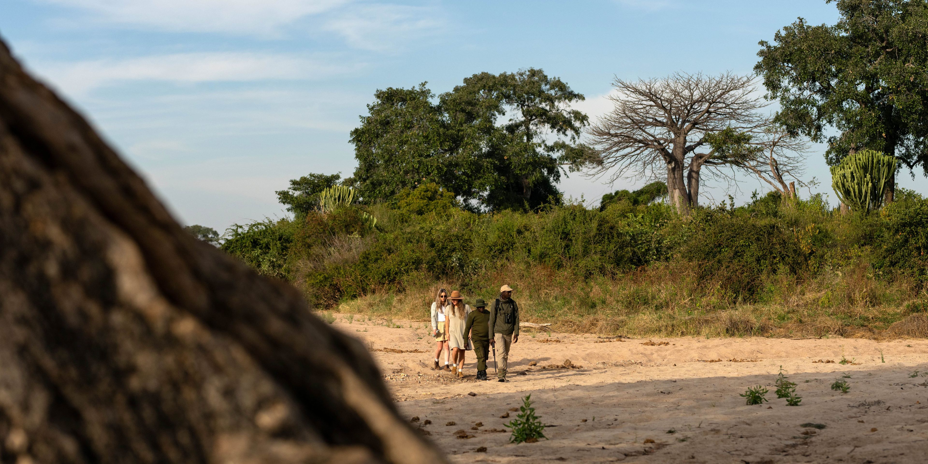Gruppe erkundet afrikanischen Busch zu Fu&szlig;