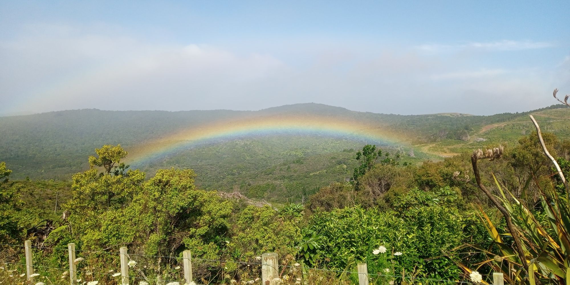 natucate-freiwilligenarbeit-neuseeland-regenbogen-landschaft