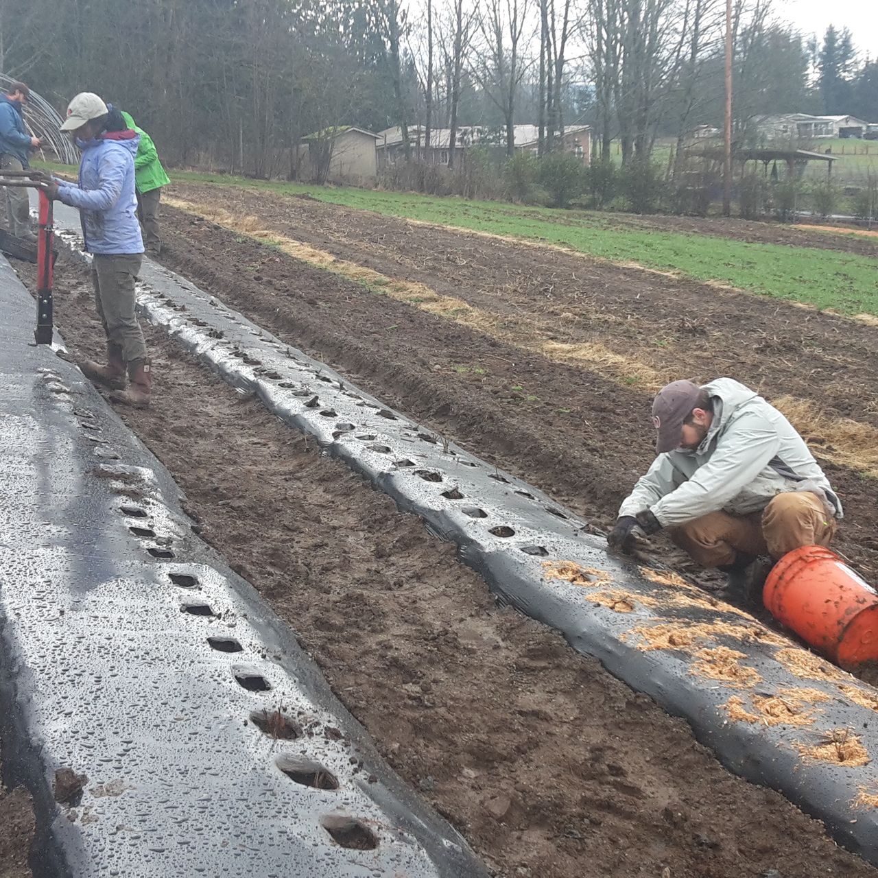 erfahrungsbericht-praktikum-usa-landwirtschaft-oekologischer-hof-arbeit-natucate