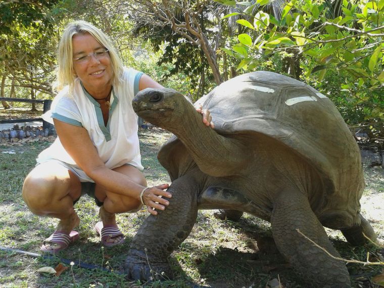 freiwilligenarbeit-seychellen-erfahrungsbericht-artenschutz-kundenfotos-schildkroete-natucate