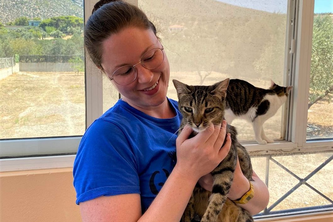 praktikum-griechenland-katzen-tiermedizin-katzen