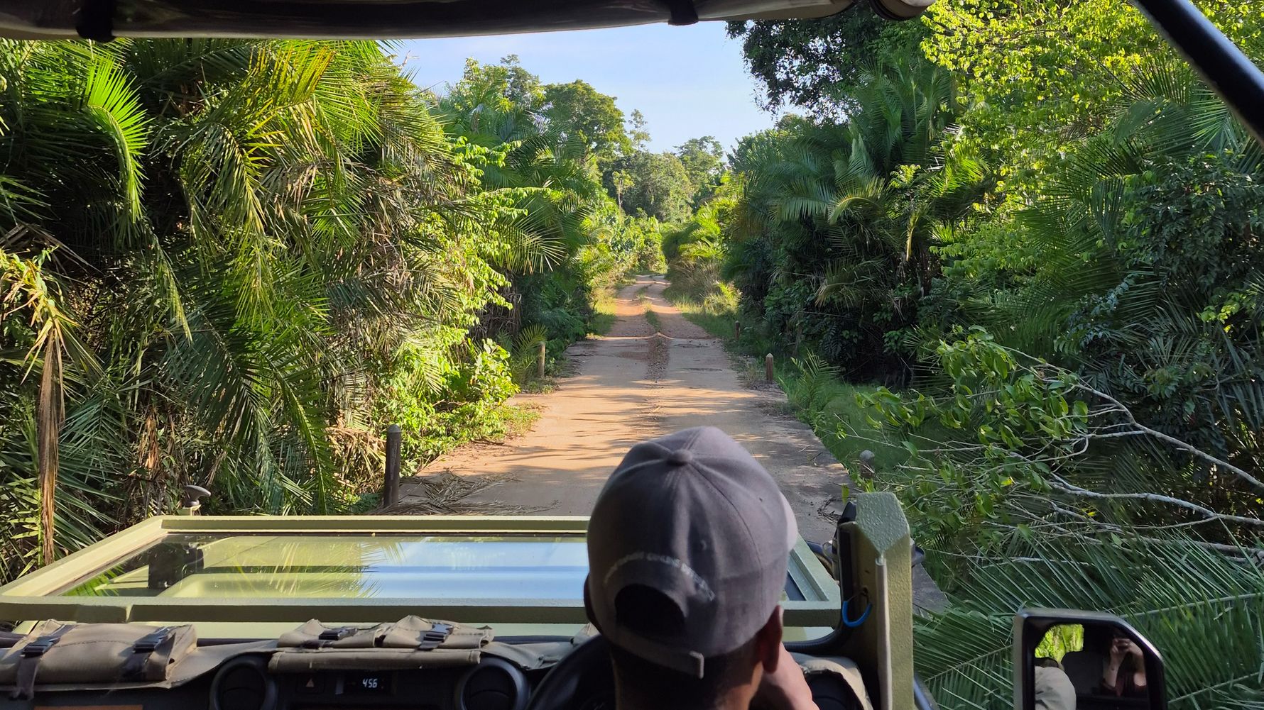 Game Drive