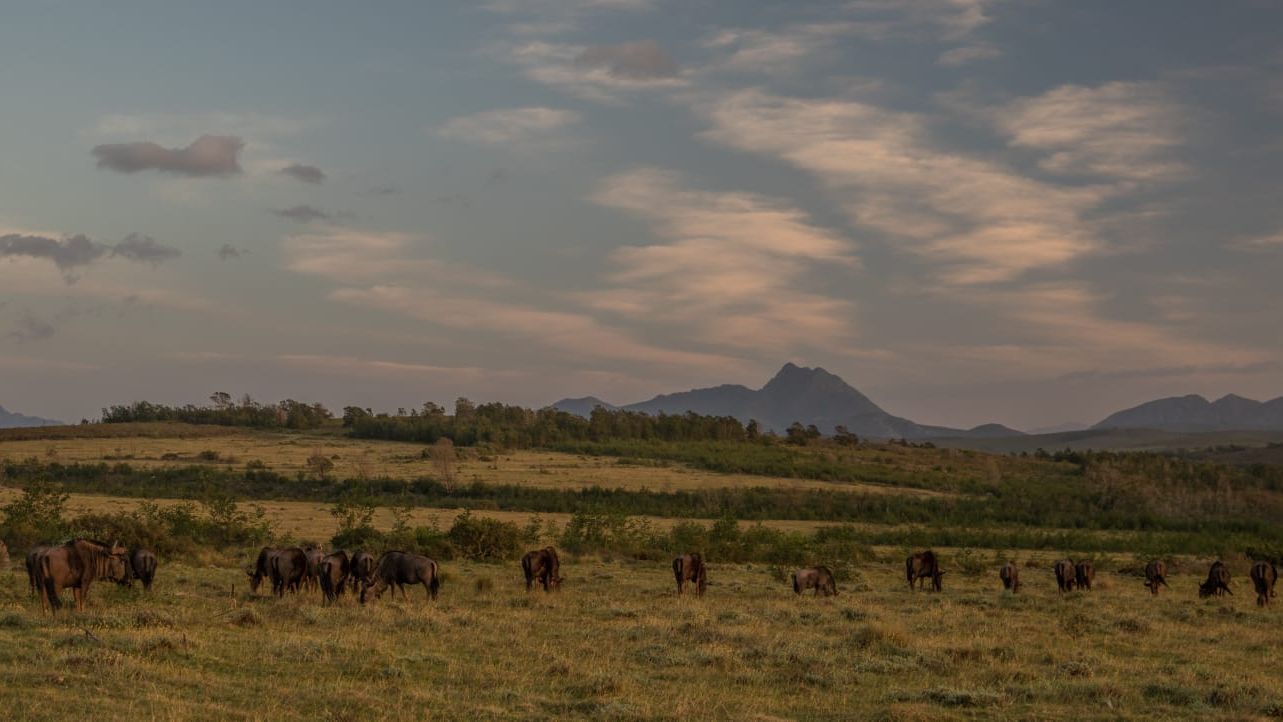 blog-ratgeber-pfg-details-aussicht-natucate