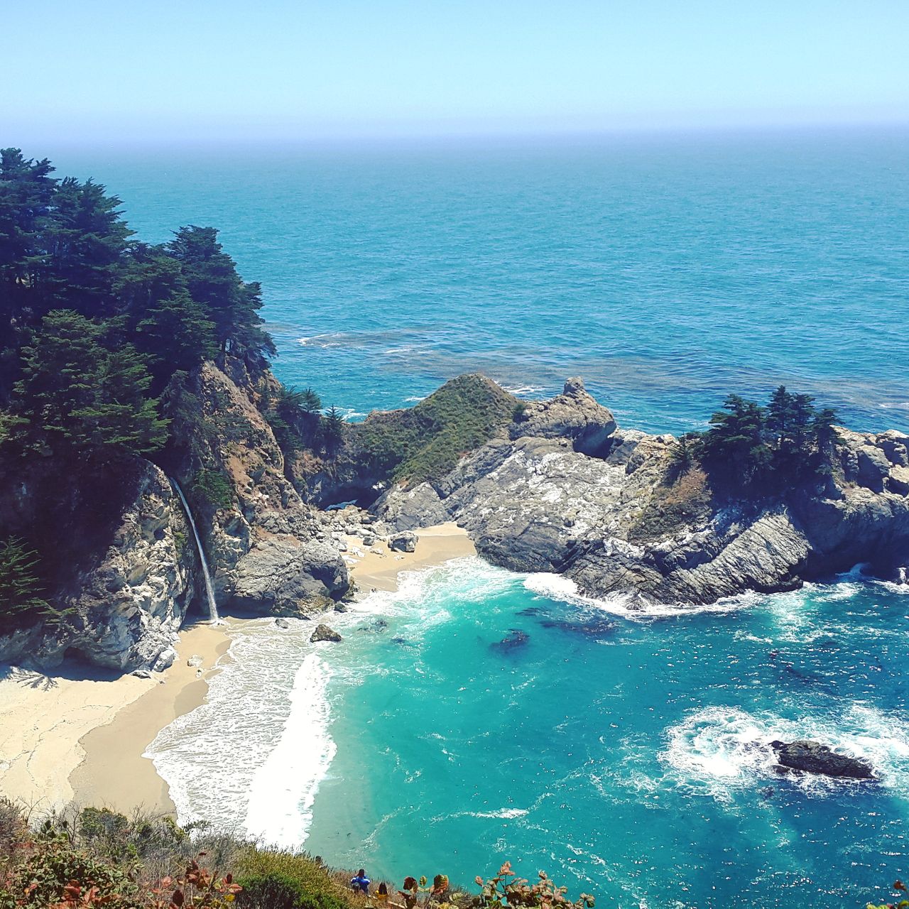 freiwilligenarbeit-usa-kalifornien-erfahrungsbericht-kundenfotos-naturschutz-kueste-natucate