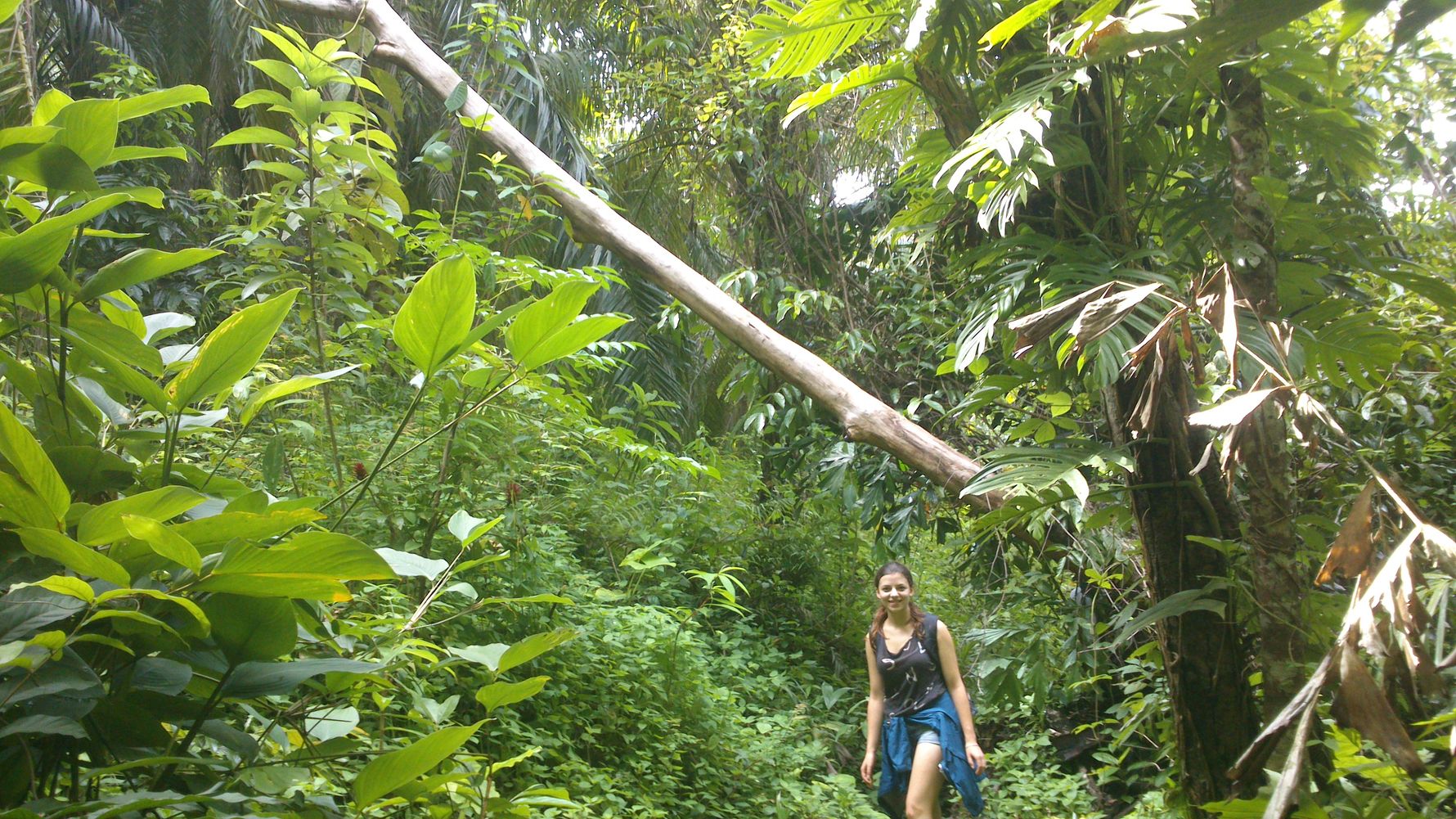 Gap Year Thailand: Eine freiwillige Helferin in der thailaendischen Wildnis