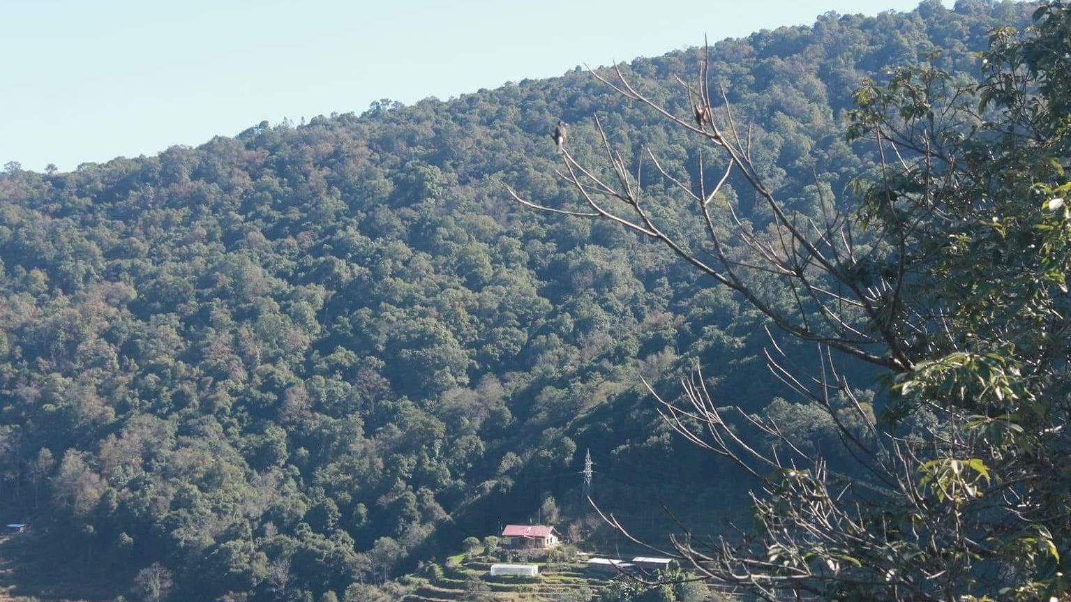 Bhutan bietet mit seiner Naturlandschaft tolle Erlebnisse für alle Reiseliebhaber