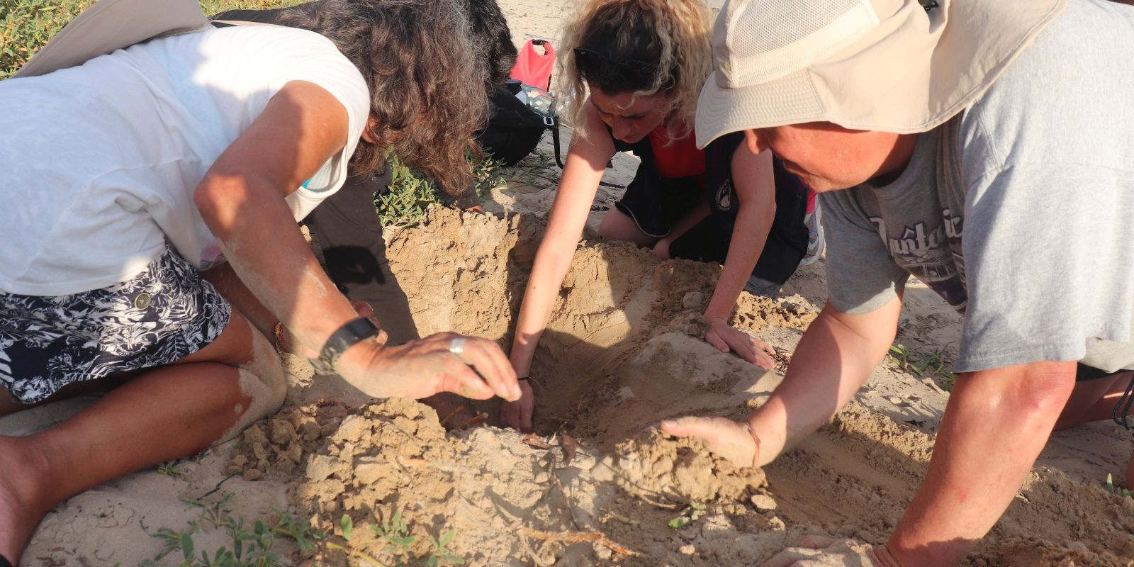 natucate-freiwilligendienst-ecuador-artenschutz-gruppe-freiwillige-meeresschildkrote-nester-lokalisieren