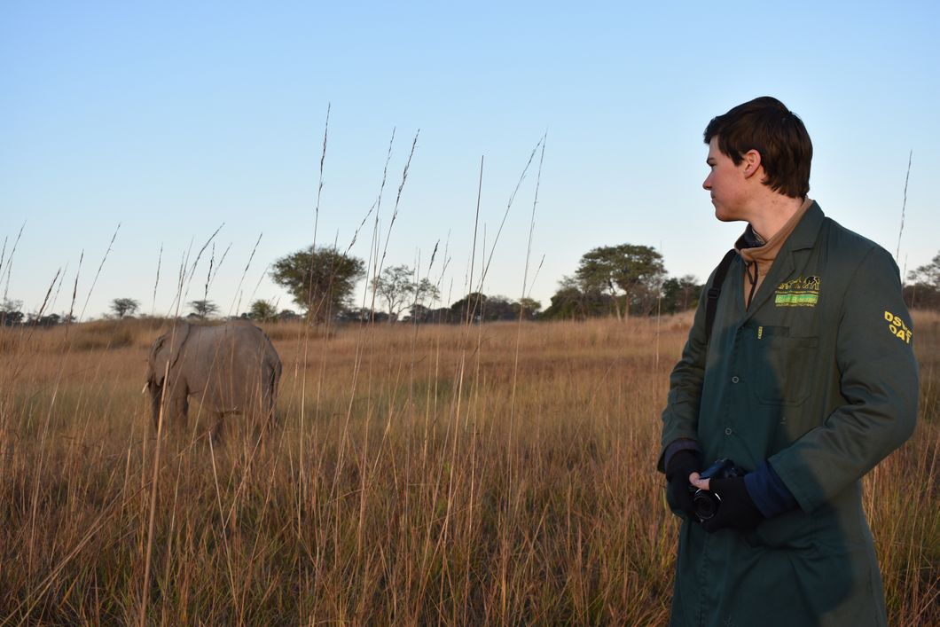 sabbatical-namibia-sambia-elefantenschutz-volunteer-elefant-natucate