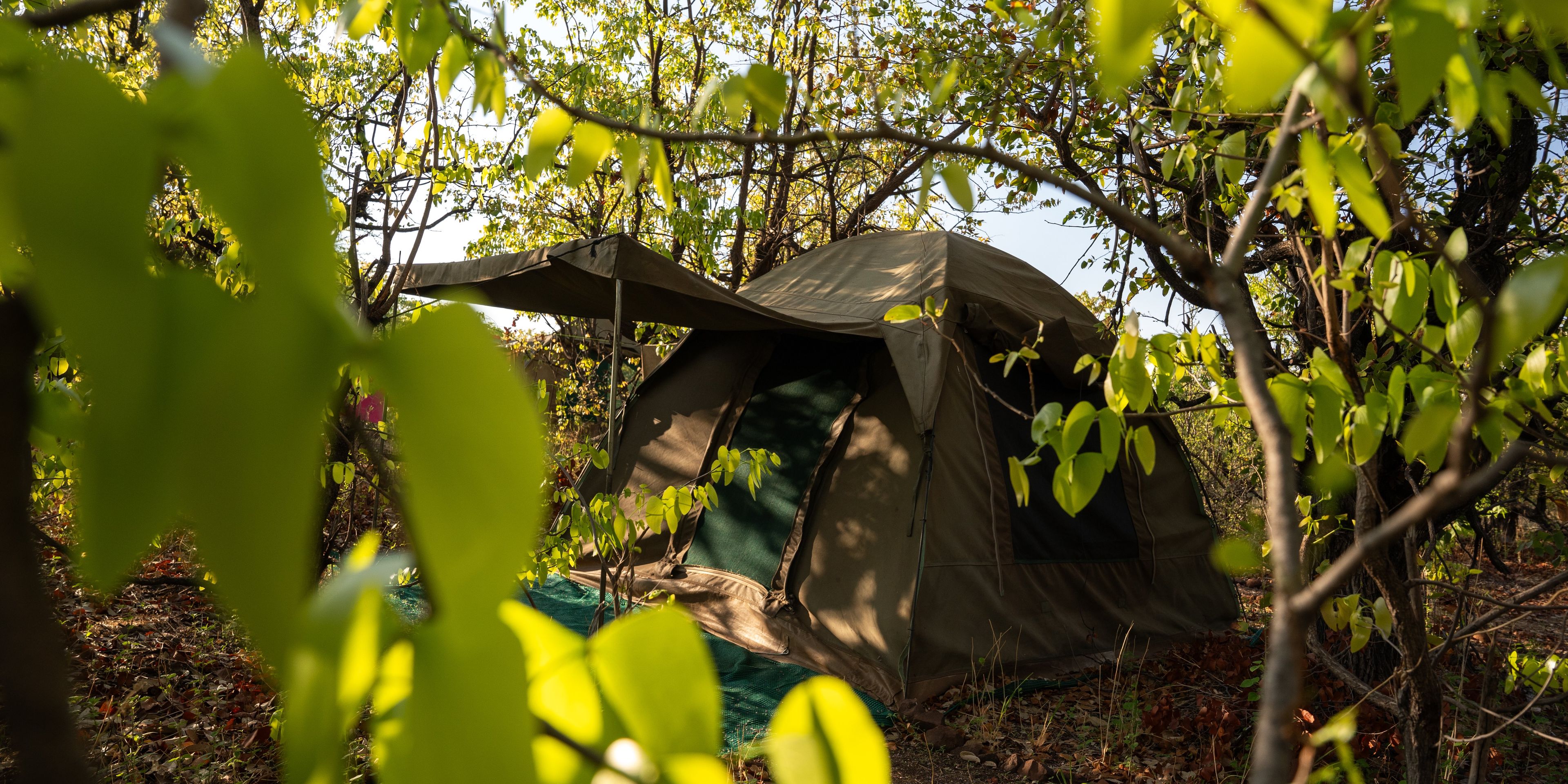 natucate-guide-course-south-africa-et-svenja-mashatu-camp-tent