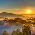region-entebbe-sunrise-nature