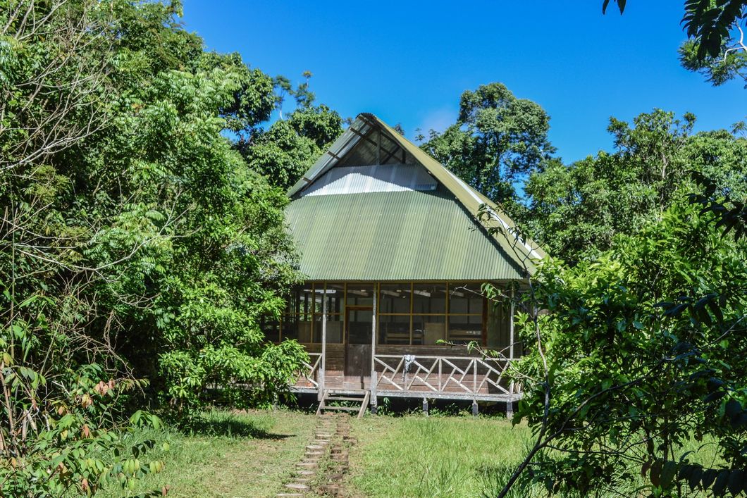 Eine grosse Huette dient den Teilnehmern des Rangerkurses im Amazonas als Forschungsstation