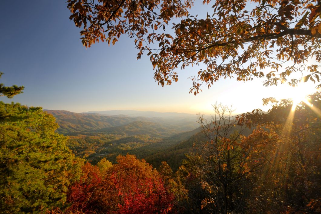 Nature conservation in North Carolina: Looking over a hilly forrest landscape in autumn colours