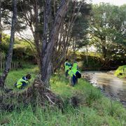 erfahrungsberichte-freiwilligenarbeit-neuseeland-latifa-naturschutz