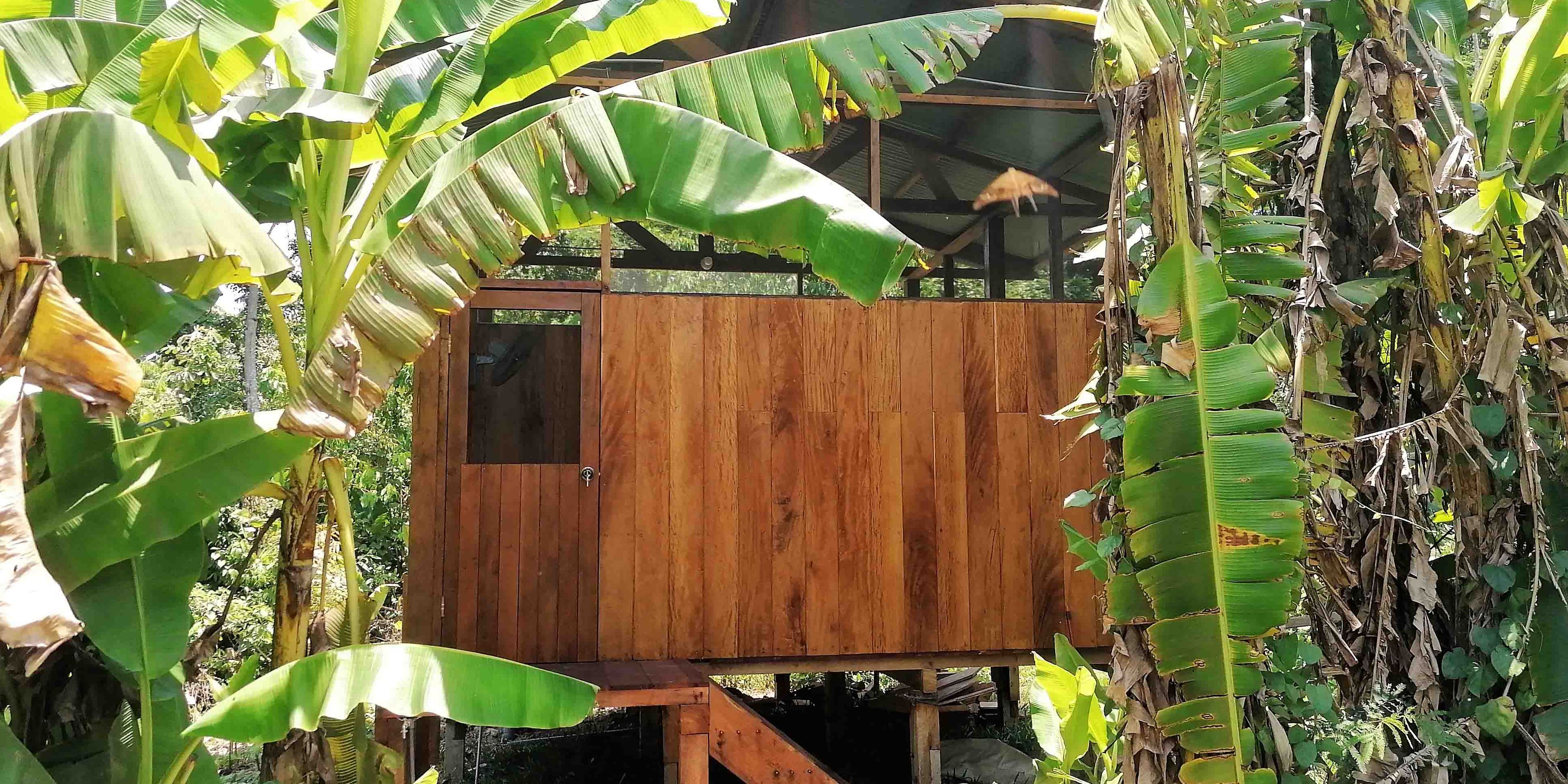 Ein Bungalow aus Holz auf Stelzen im dicht gewachsenem Regenwald