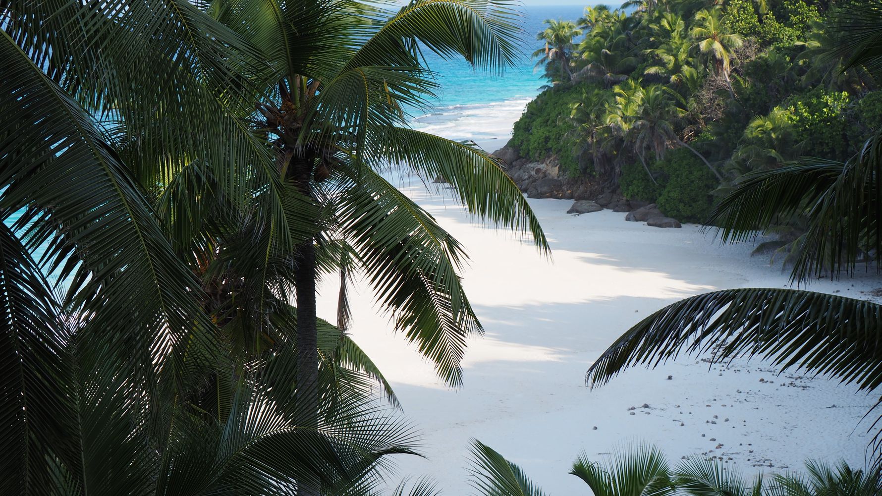 erfahrungsberichte-freiwilligenarbeit-seychellen-north-island-artenschutz-petra-lina-palmen-natucate