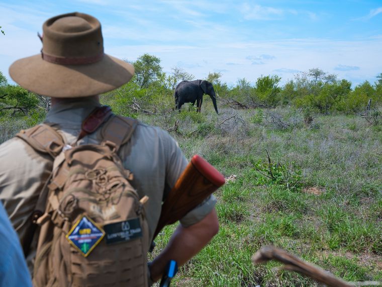 natucate-blog.-erfahrungsbericht-rene-trails-guide-elefant-walk