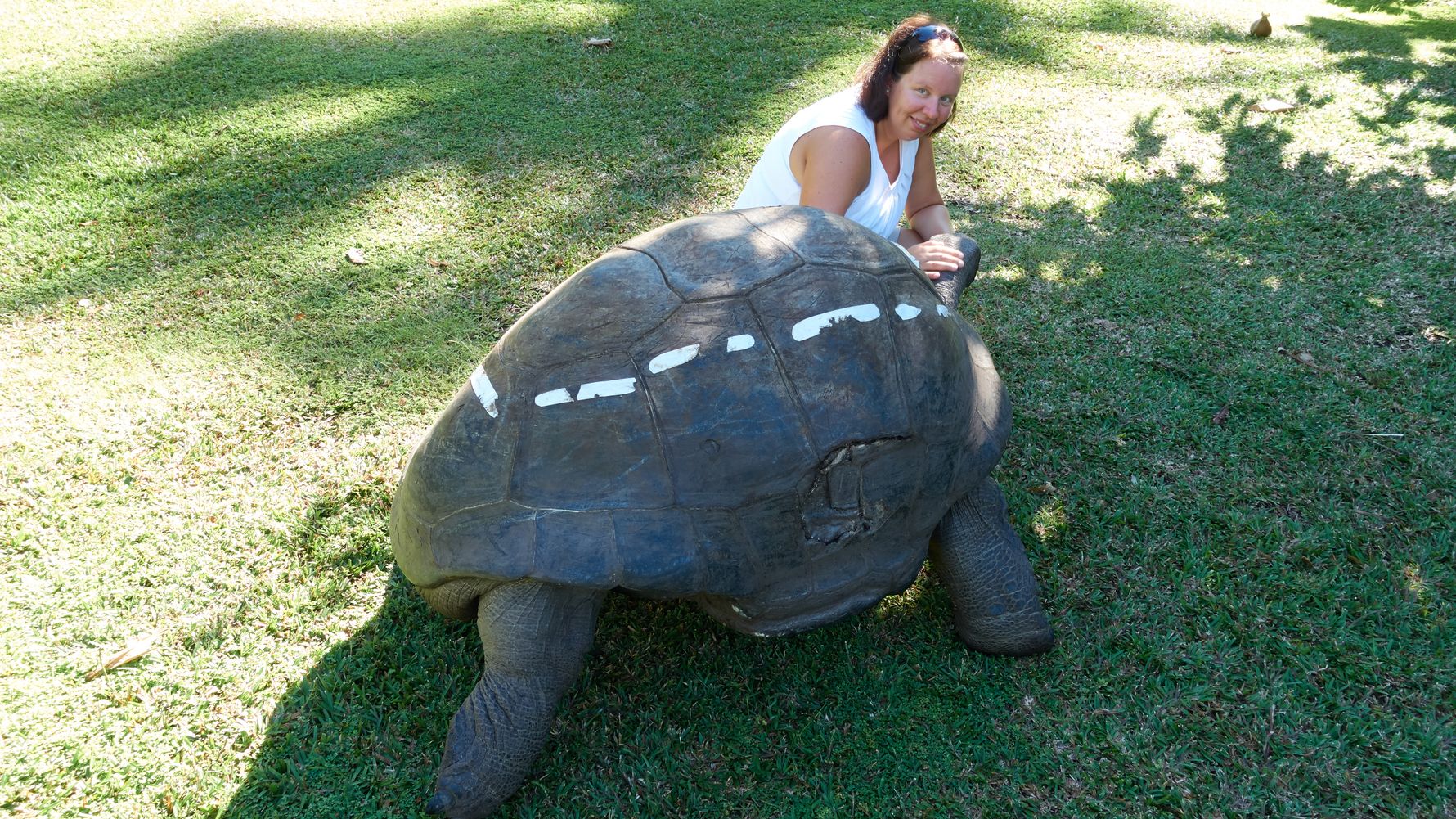 erfahrungsberichte-freiwilligenarbeit-seychellen-north-island-artenschutz-andreas-katja-landschildkroete