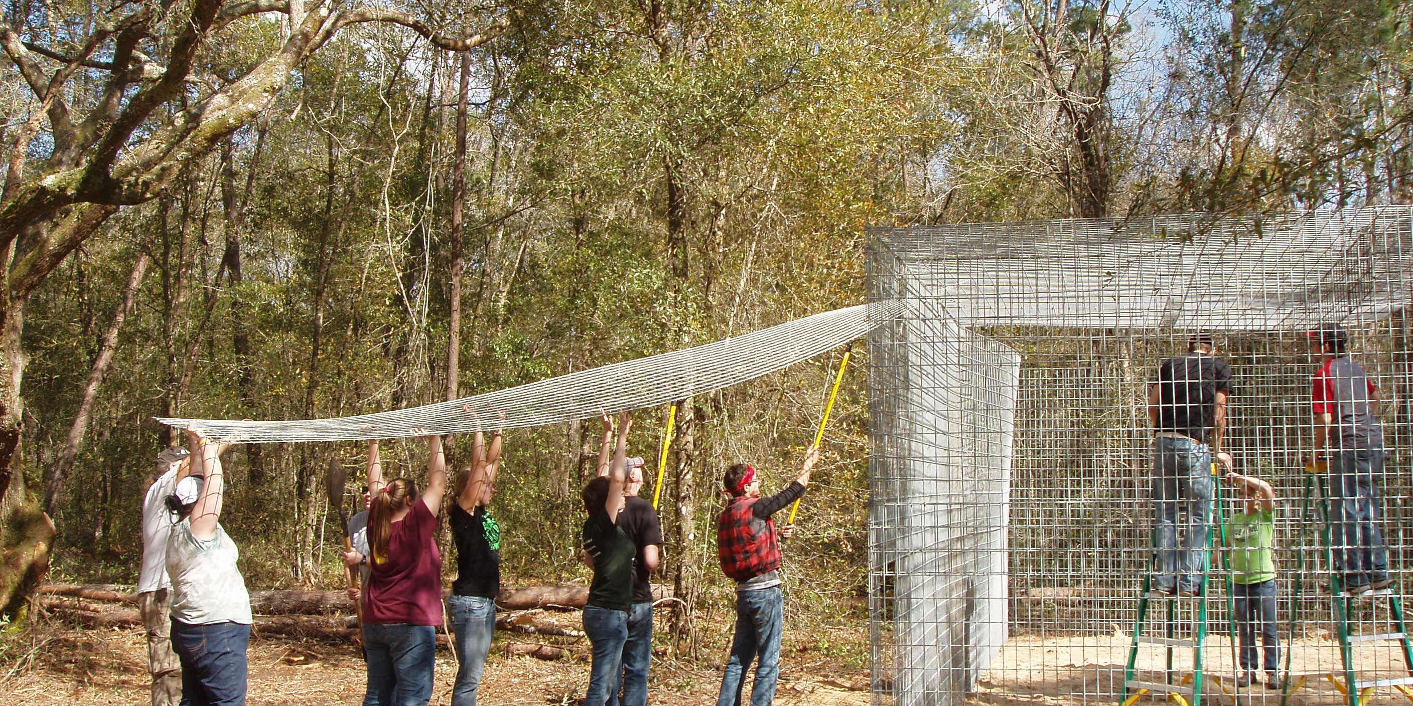 Freiwilligenhelfer beim Einsatz in unserem Volunteerprojekt zum Schutz notleidender Wildtiere in Florida