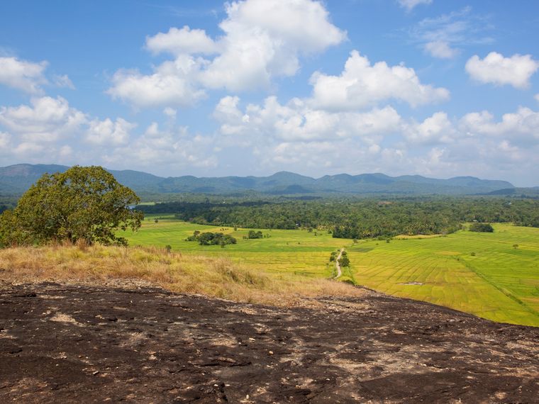 wasgamuwa-reiseort-nationalpark-grasebene-natucate