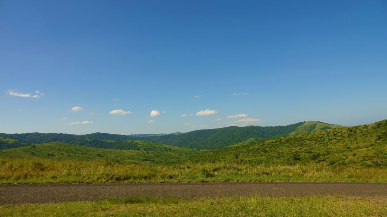 freiwilligenarbeit-suedafrika-erfahrungsbericht-kundenfotos-artenschutz-ausblick-natucate