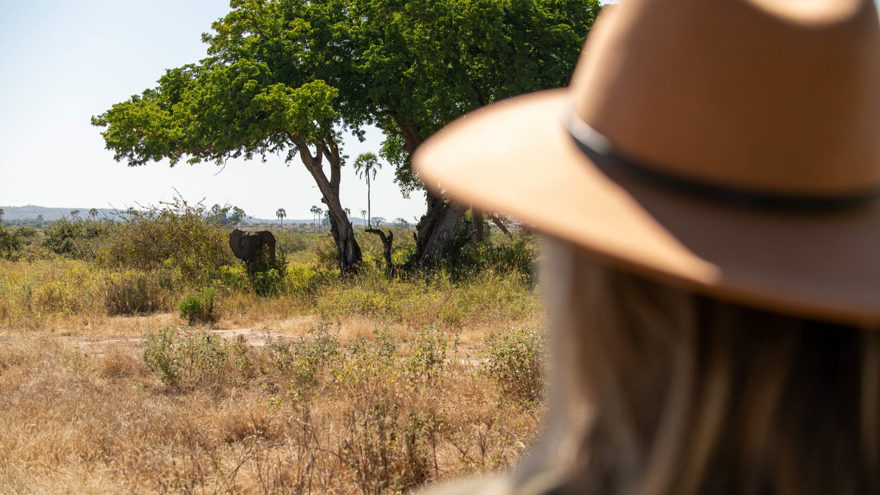 Frau sieht Elefanten beim Walk in Ruaha