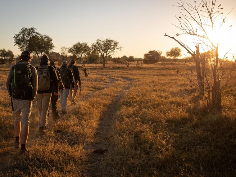Kursteilnehmer einer Private Wilderness Experience durchqueren eine Grassavanne im suedlichen Afrika