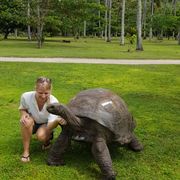 erfahrungsberichte-freiwilligenarbeit-artenschutz-north-island-seychellen-melanie-schildkroete