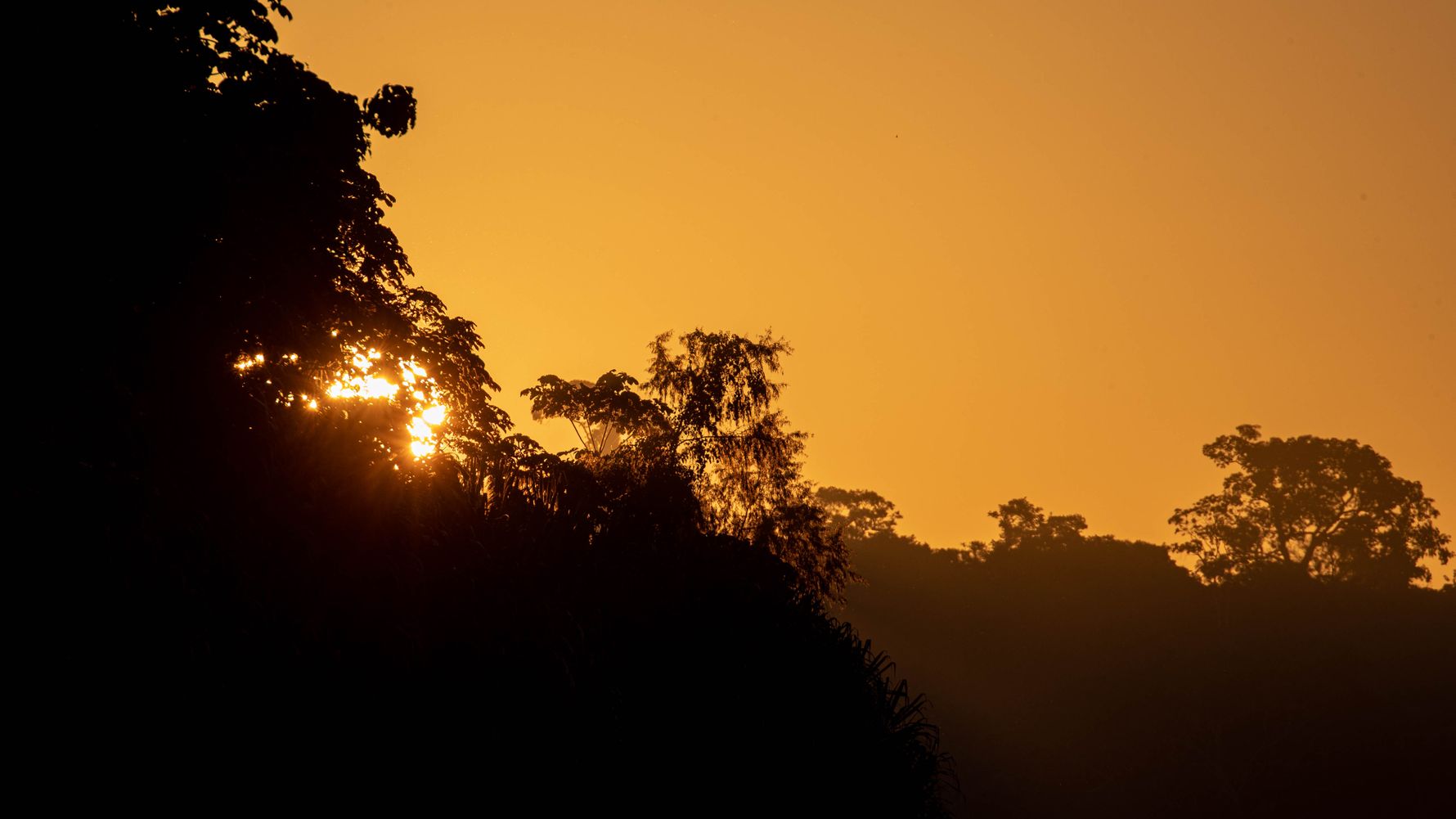 blog-ratgeber-peru-amazonas-regenwald-sonnenuntergang-natucate