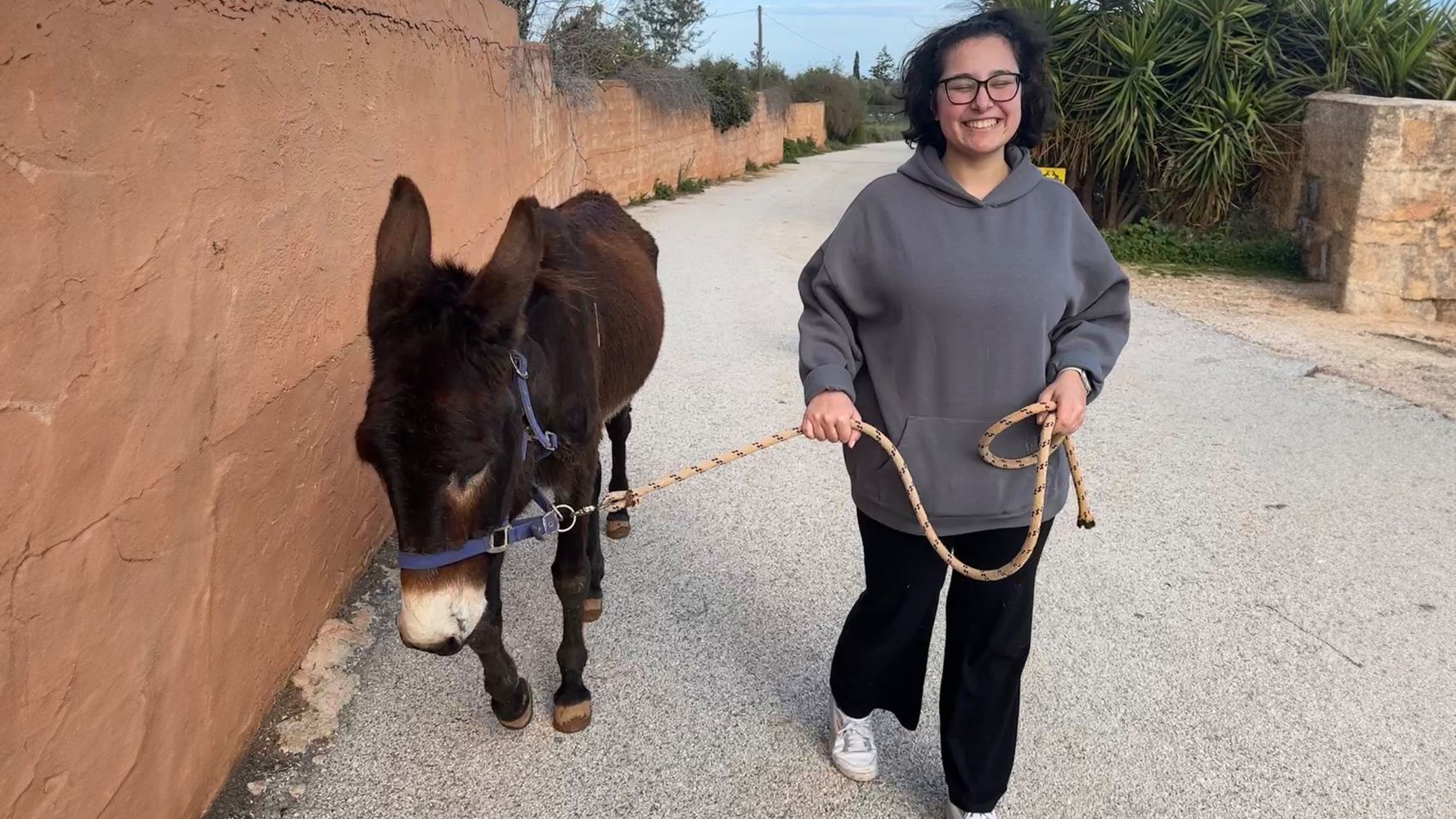 natucate-erfahrungsbericht-griechenland-tierschutz-jasira-esel-quer-spaziergang