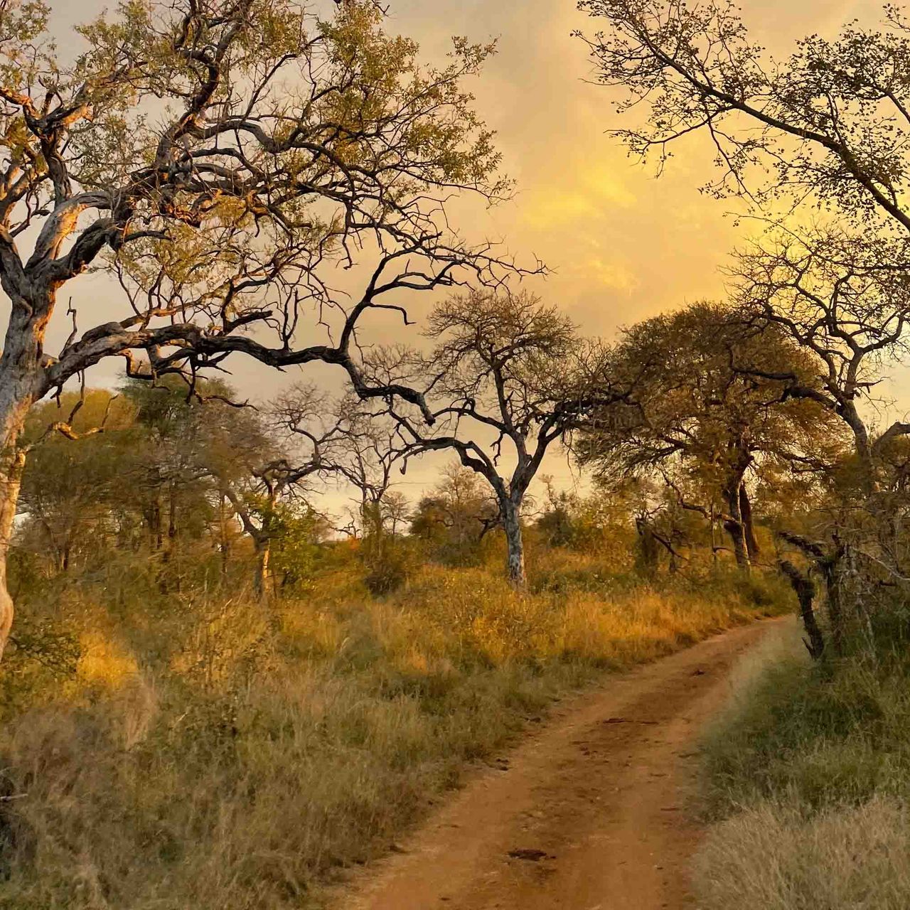 erfahrungsbericht-suedliches-afrika-professional-field-guide-rangerausbildung-natucate-vivien-pruefungen