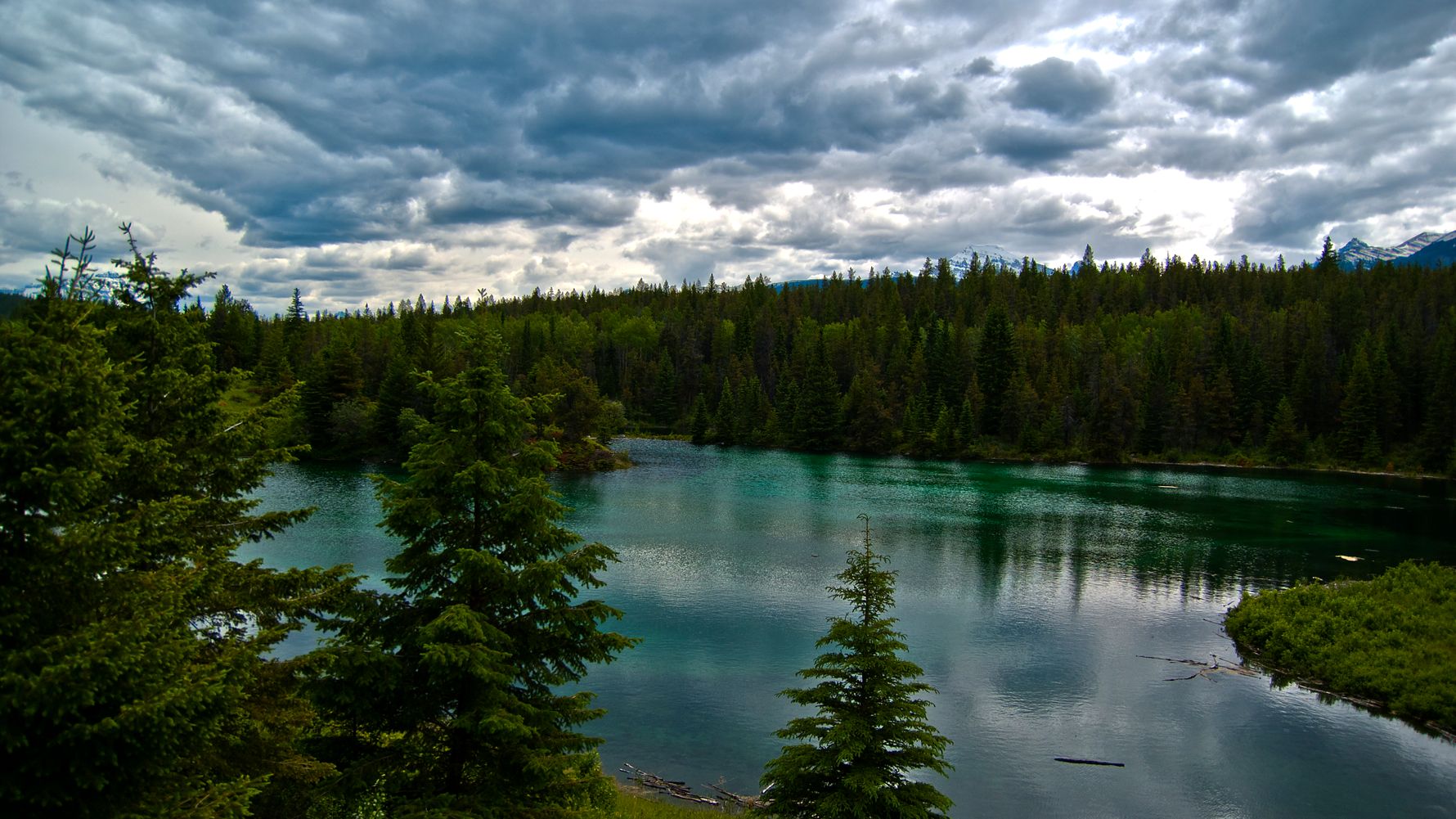 blog-ratgeber-kanada-british-columbia-wandern-wald-natucate