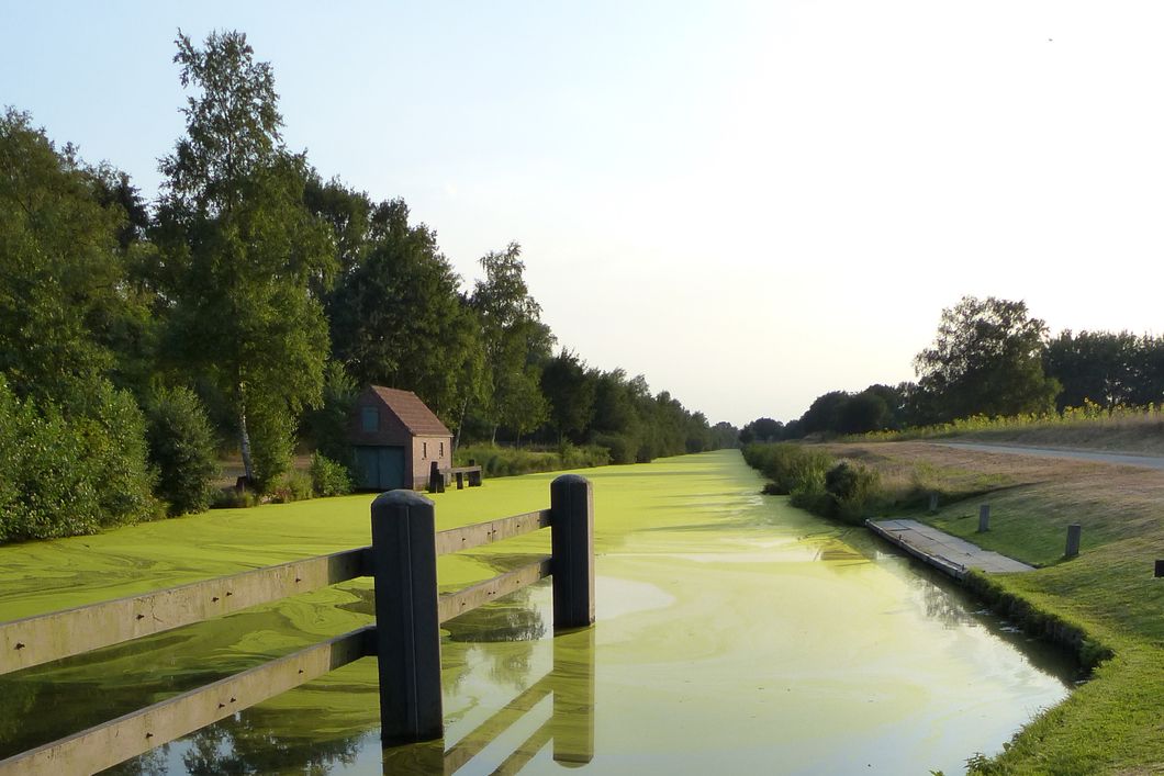naturreise-deutschland-ostfriesland-ecotour-kanal-natucate