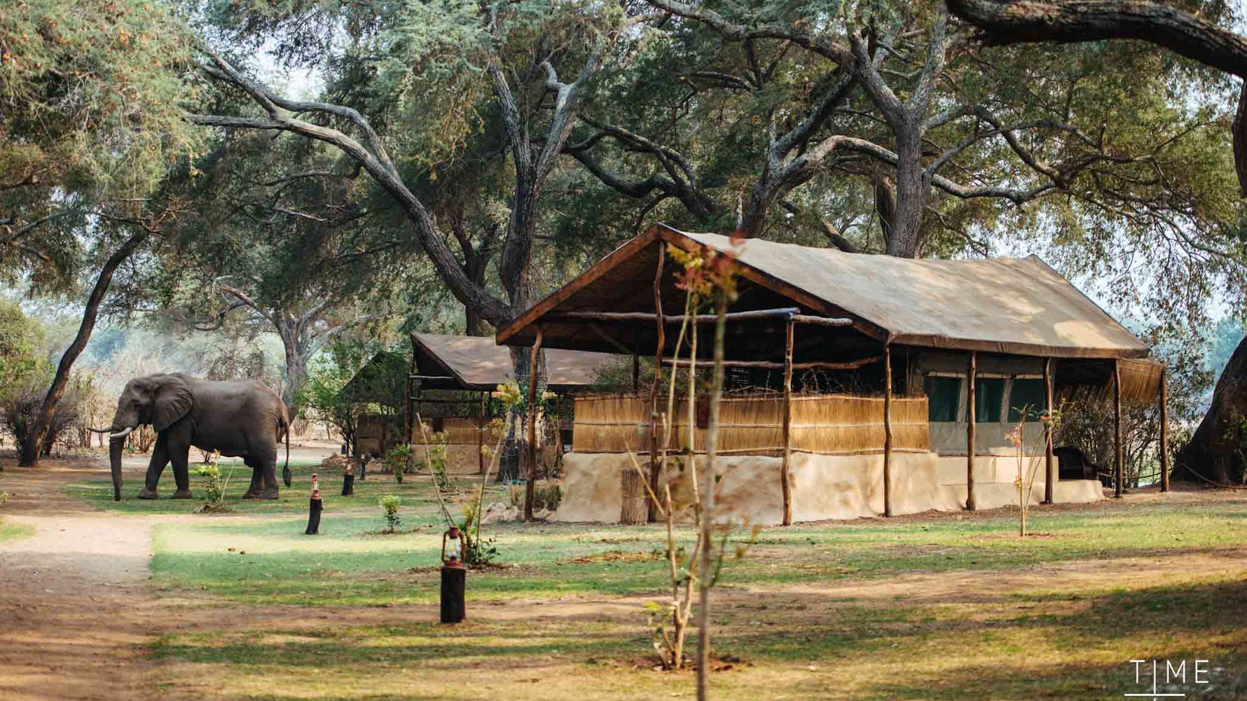 blog-ratgeber-sambia-chongwe-river-camp-elefant-camp-natucate