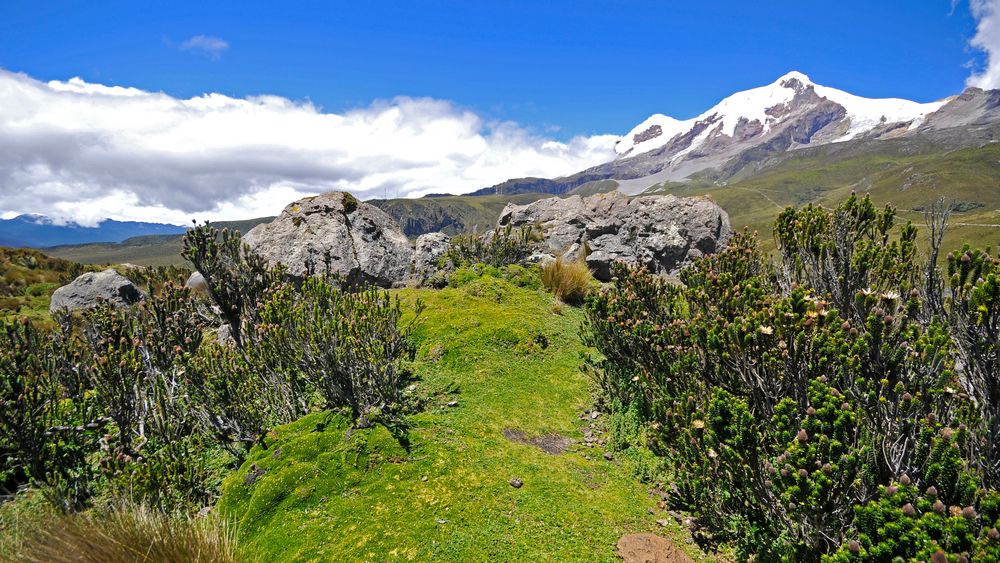 natucate-country-info-ecuador-cayambe-volcanoe